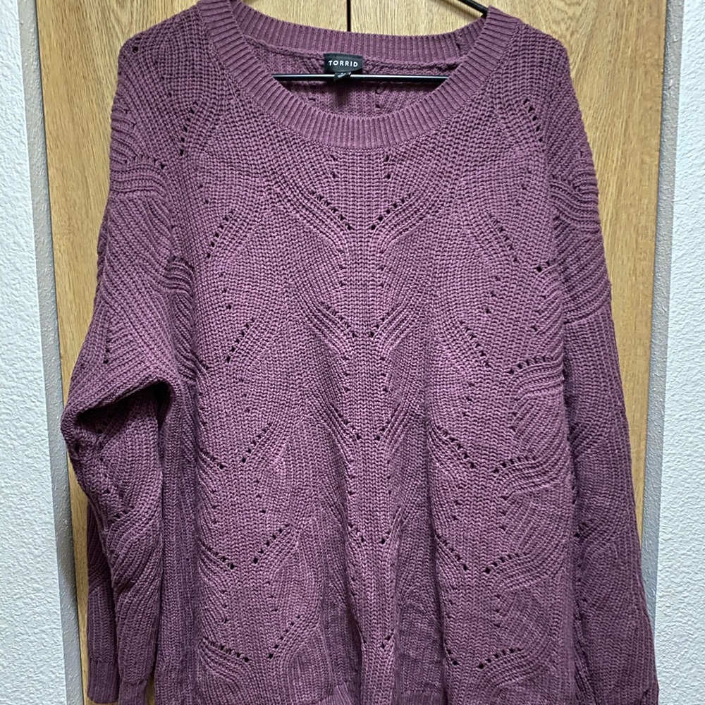 Torrid sweater